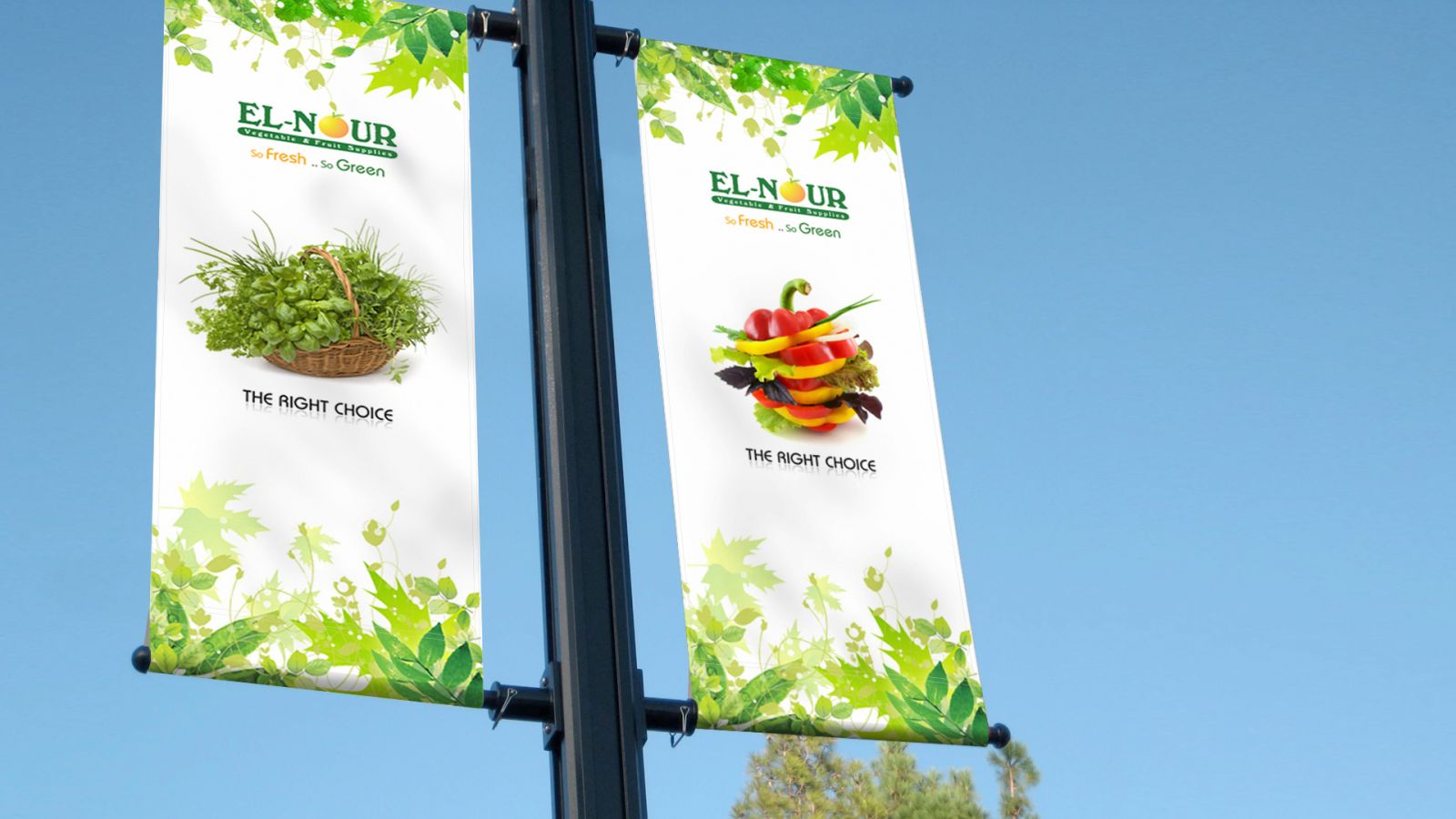 El-Nour CD Design