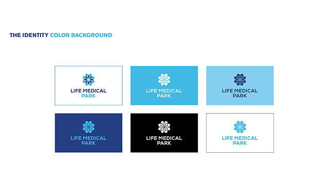The brand Identity Color Background