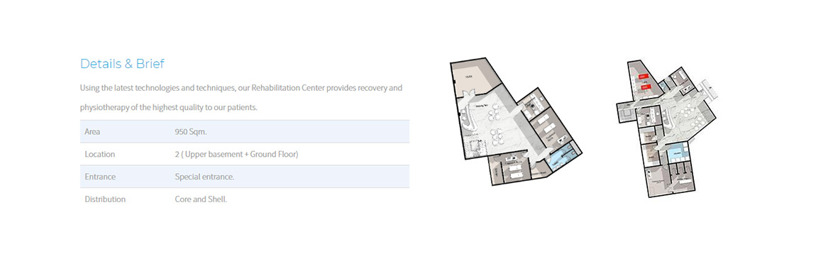 Life Medical Park UI & UX Development Web Design Website