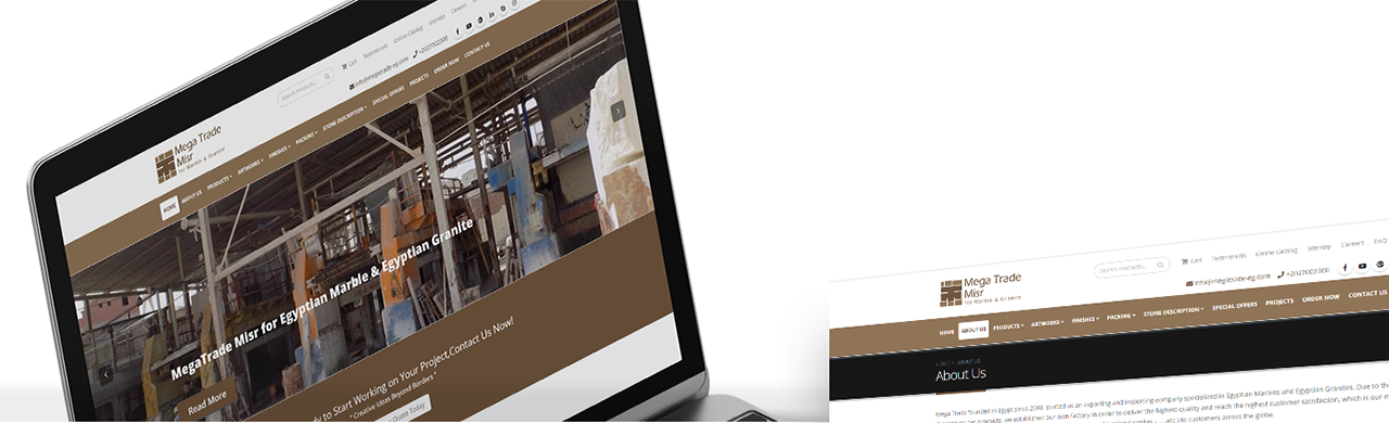 Mega Trade Website Design & Development