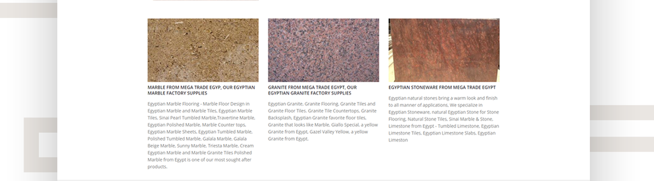 Mega Trade Website Design & Development