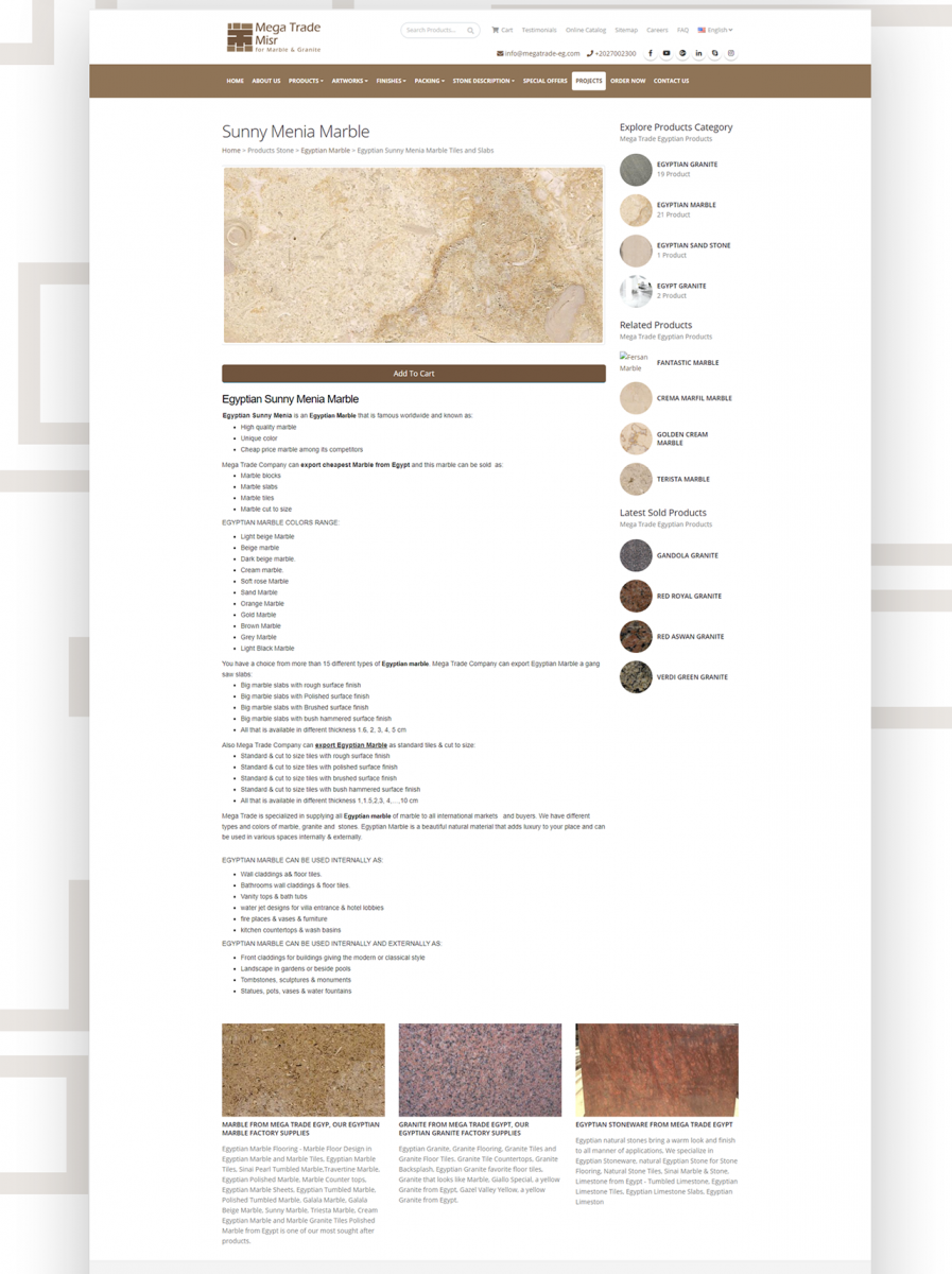 Mega Trade Website Design & Development