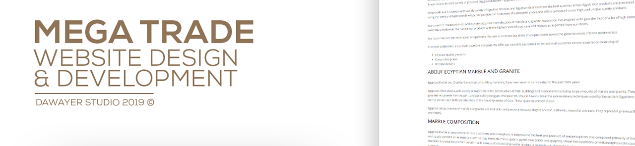 Mega Trade Website Design & Development