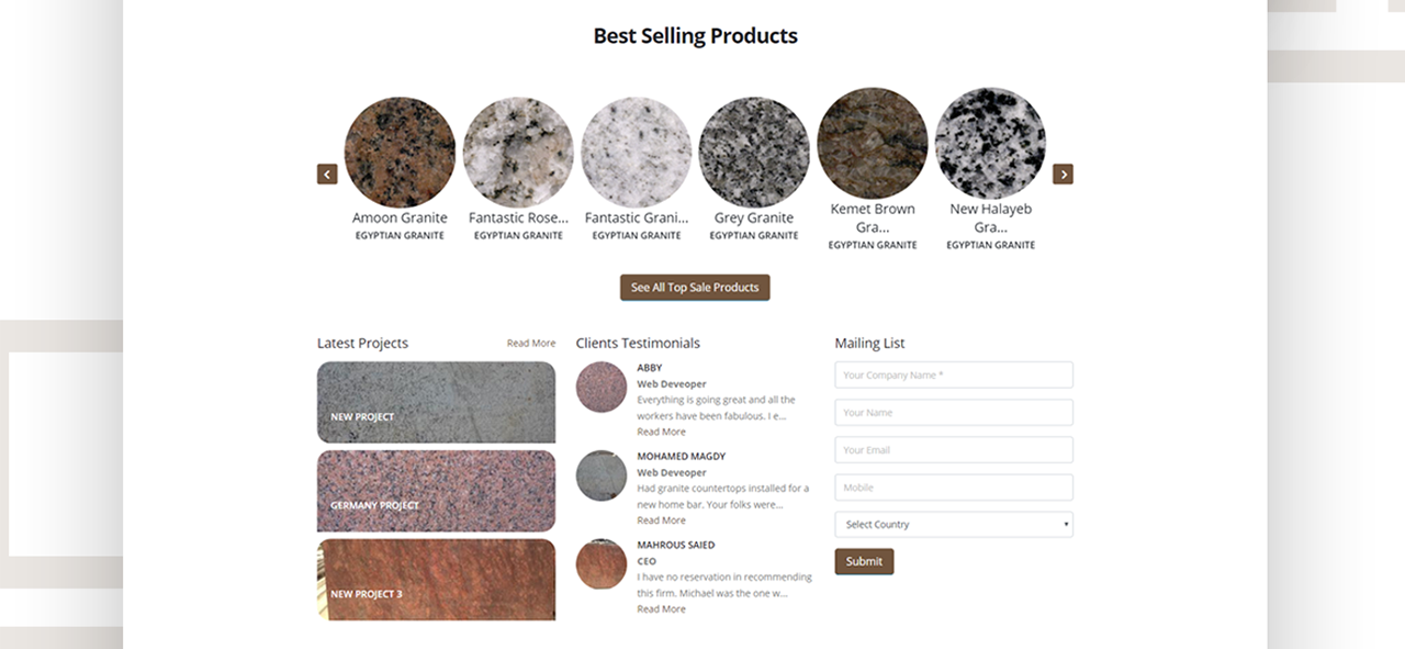 Mega Trade Website Design & Development